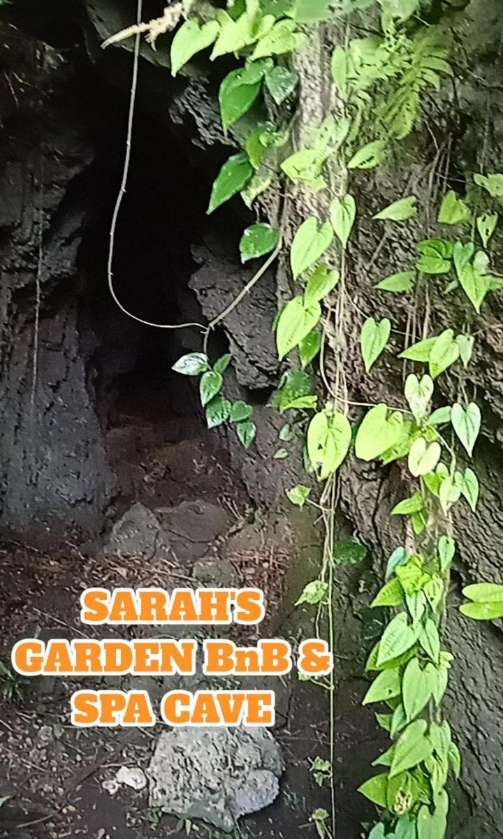 Sarah'S Garden Bnb & Spa Clarin  Dış mekan fotoğraf