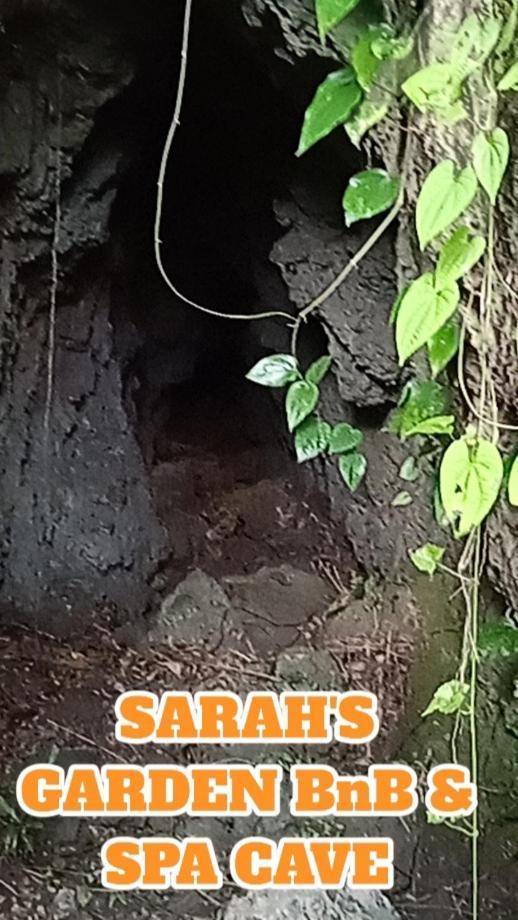 Sarah'S Garden Bnb & Spa Clarin  Dış mekan fotoğraf
